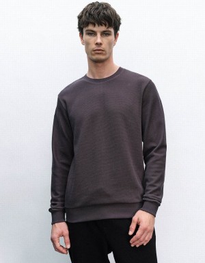 Dark Grey Men's Urban Revivo Crew Neck Straight Sweatshirts | PEW4482TH