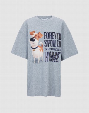 Yellow Women's Urban Revivo The Secret Life Of Pets Oversized T Shirts | DOW8565MU