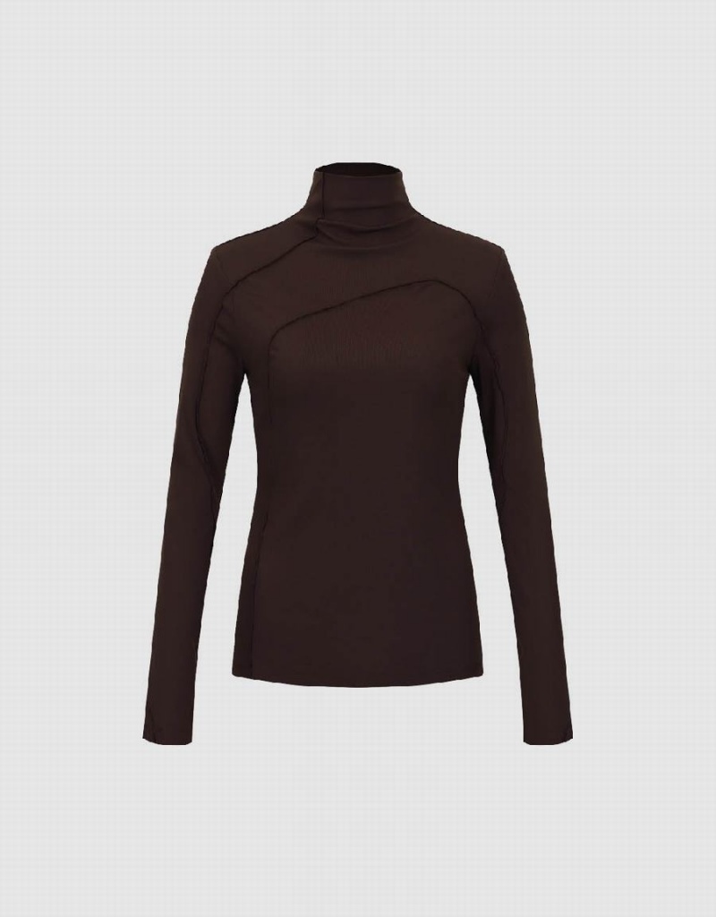 Brown Women's Urban Revivo Turtle Neck Skinny T Shirts | QOP2394LR