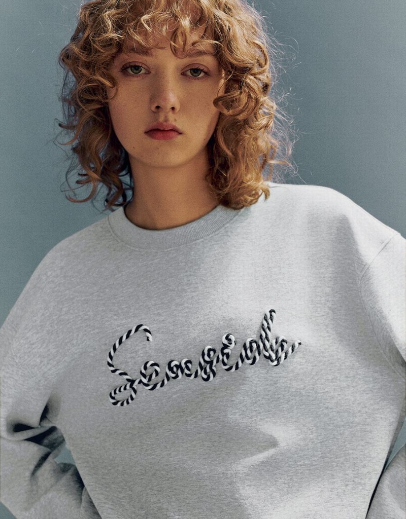 Light Grey Women's Urban Revivo Letter Embroidered Crew Neck Loose Sweatshirts | ONW6269YV